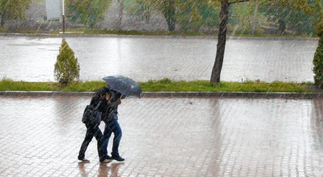 學英文／颱風璨樹遠離 under the weather與氣候無關