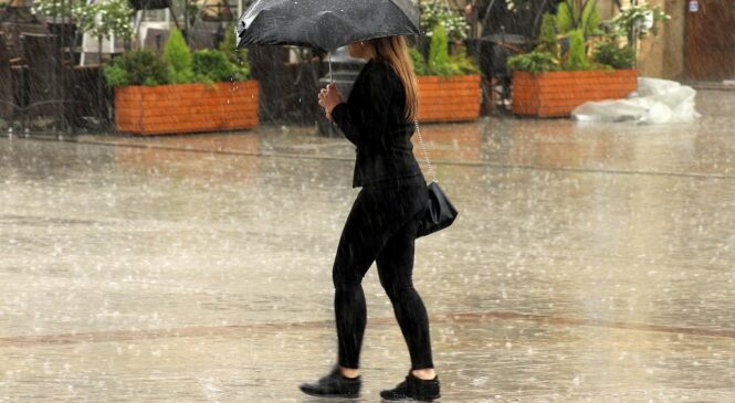 軒嵐諾挾「大雨」！英文不是big rain